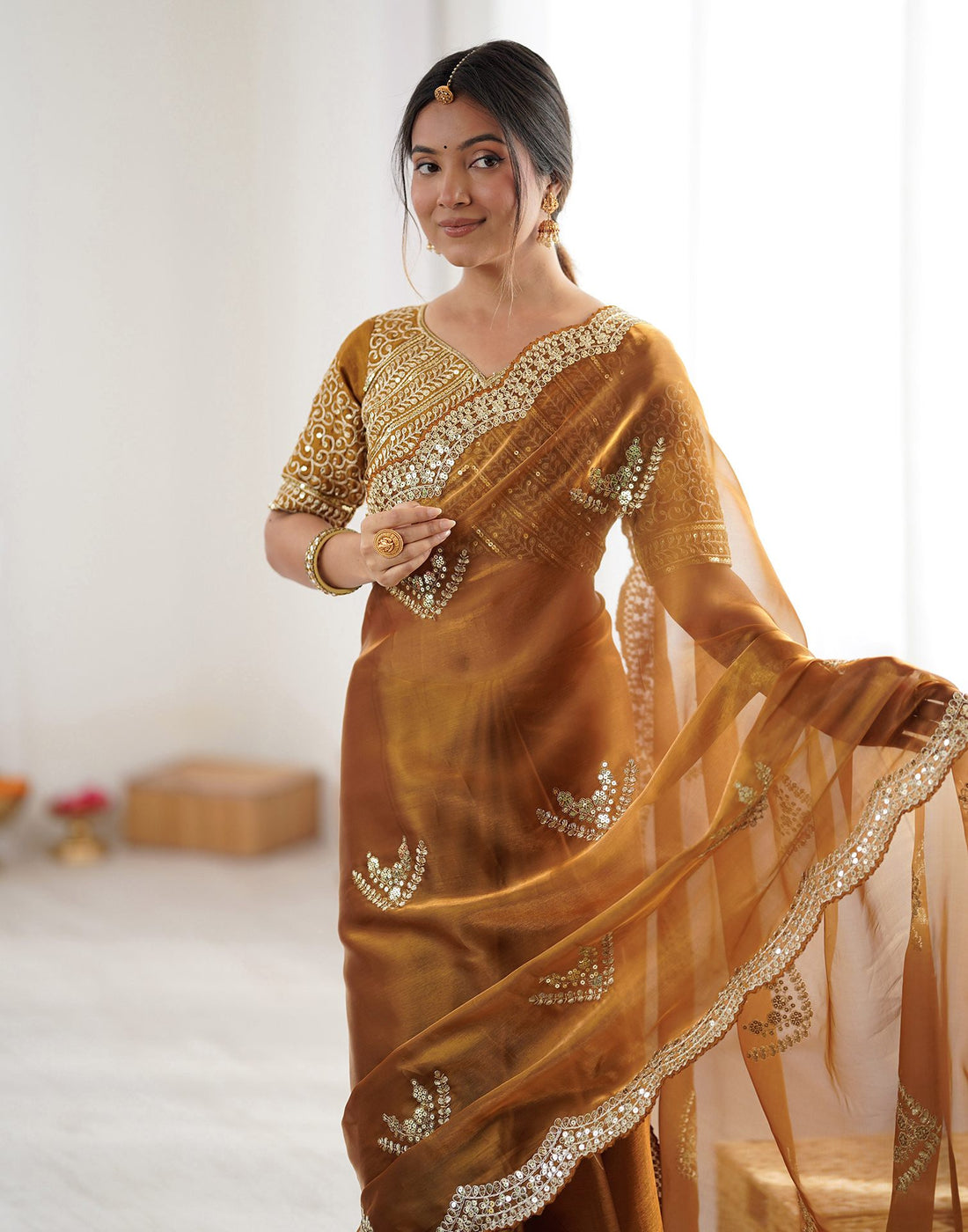 Brown Tissue Silk Sequence Embroidery Saree