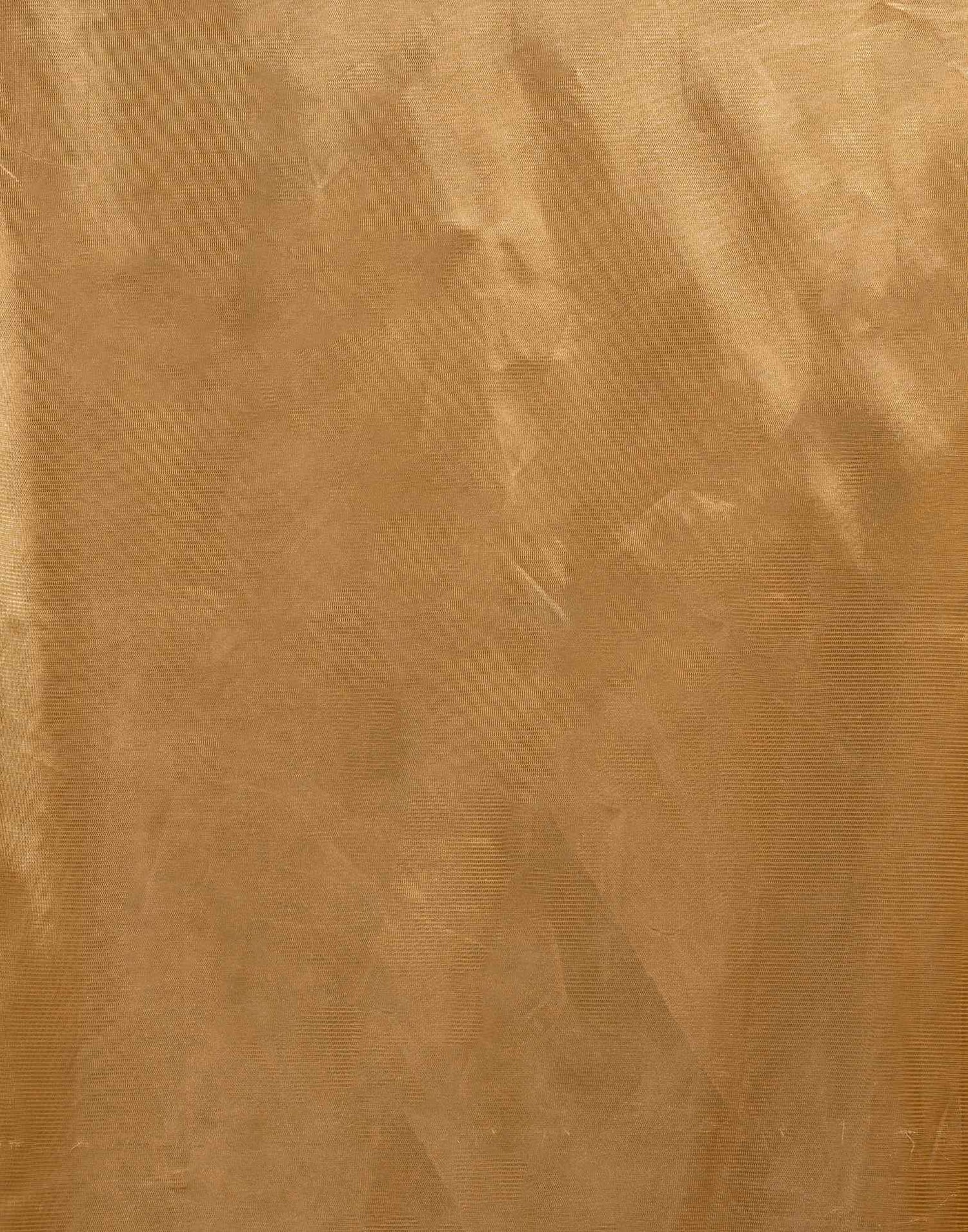 Golden Shimmer Tissue Top Dyed Woven Saree