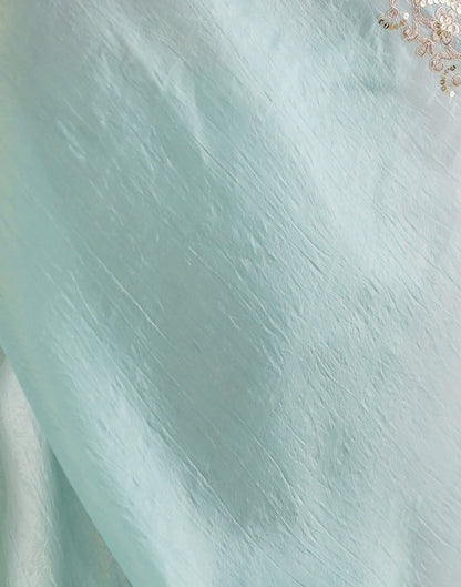 Light Mint Green Tissue Silk Sequence Embroidery Saree