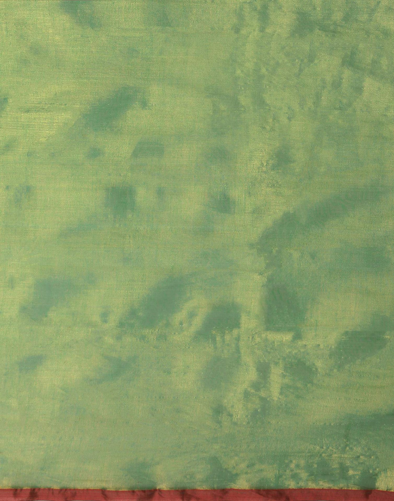 Mint Green Tissue Silk Top Dyed Kanjivaram Saree