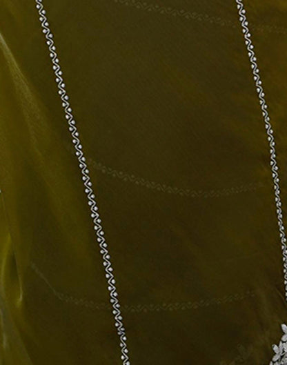 Olive Green Tissue Silk Sequence Embroidery Saree