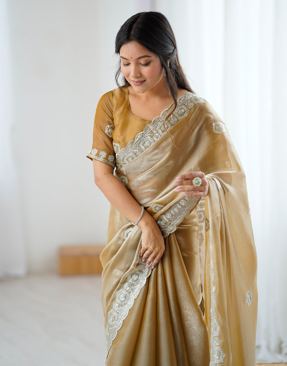 Dark Beige Tissue Silk Embroidery Saree