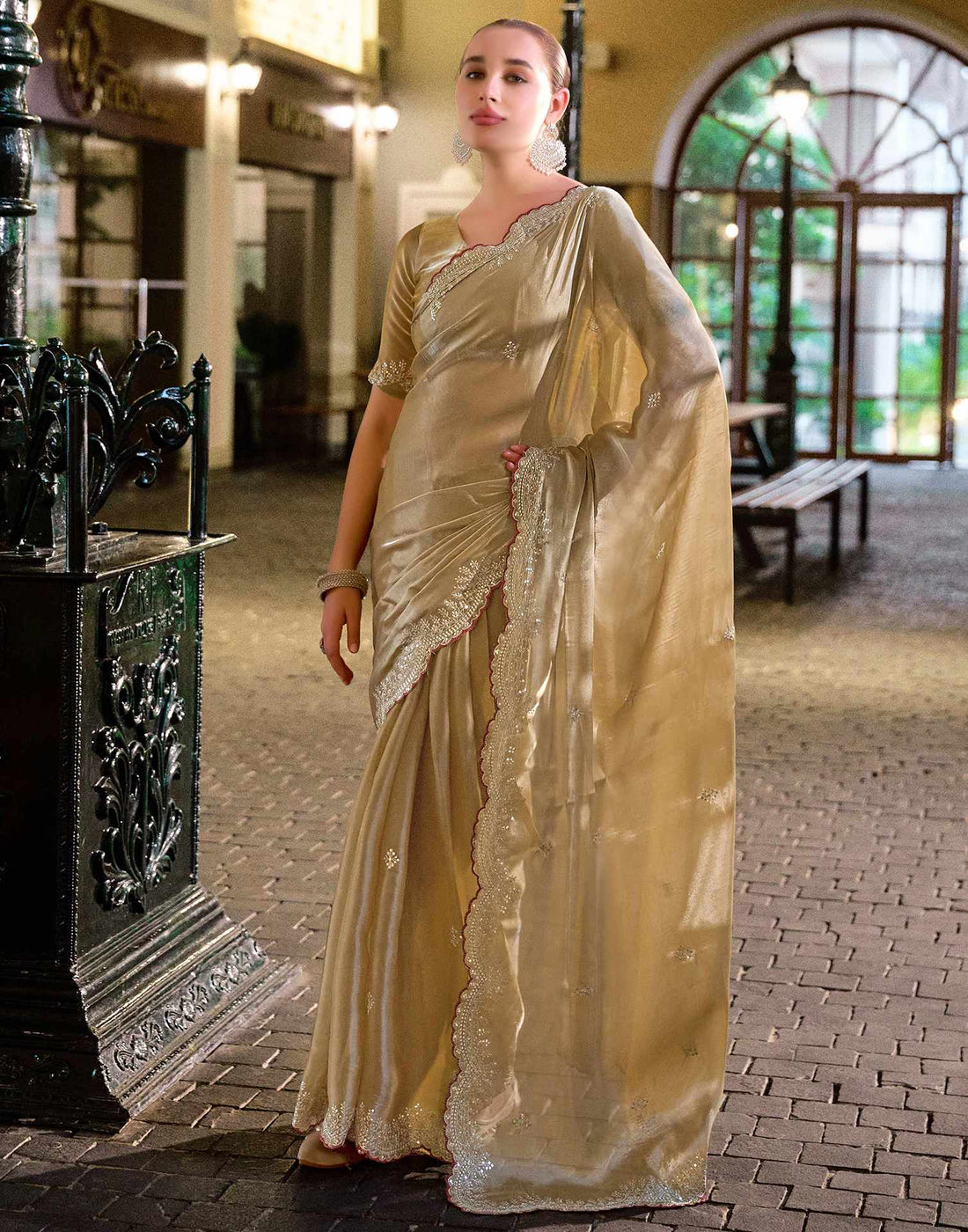 Dark Beige Tissue Silk Sequence Embroidery Saree