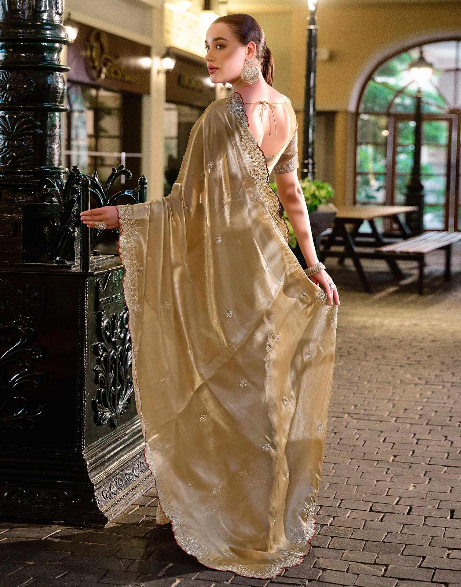 Dark Beige Tissue Silk Sequence Embroidery Saree