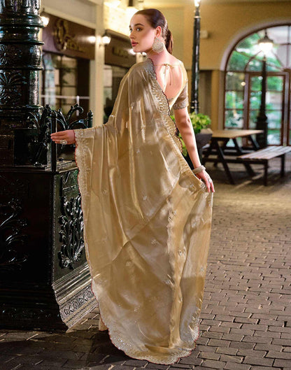 Dark Beige Tissue Silk Sequence Embroidery Saree