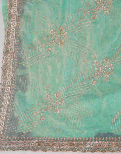 Turquoise Shimmer Net Embroidery Swarovski Saree