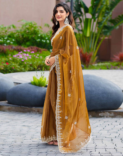 Brown Shimmer Sequence Embroidery Saree