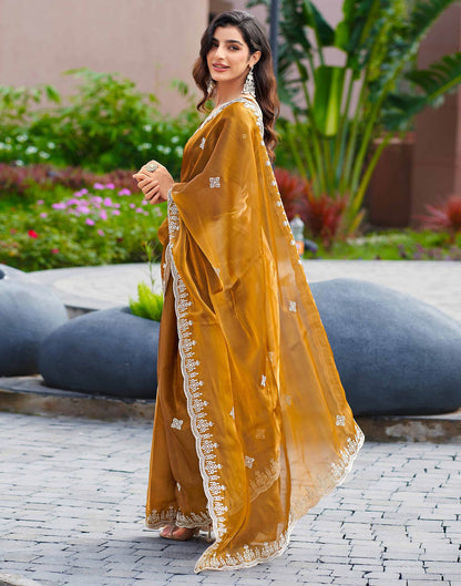 Brown Shimmer Sequence Embroidery Saree