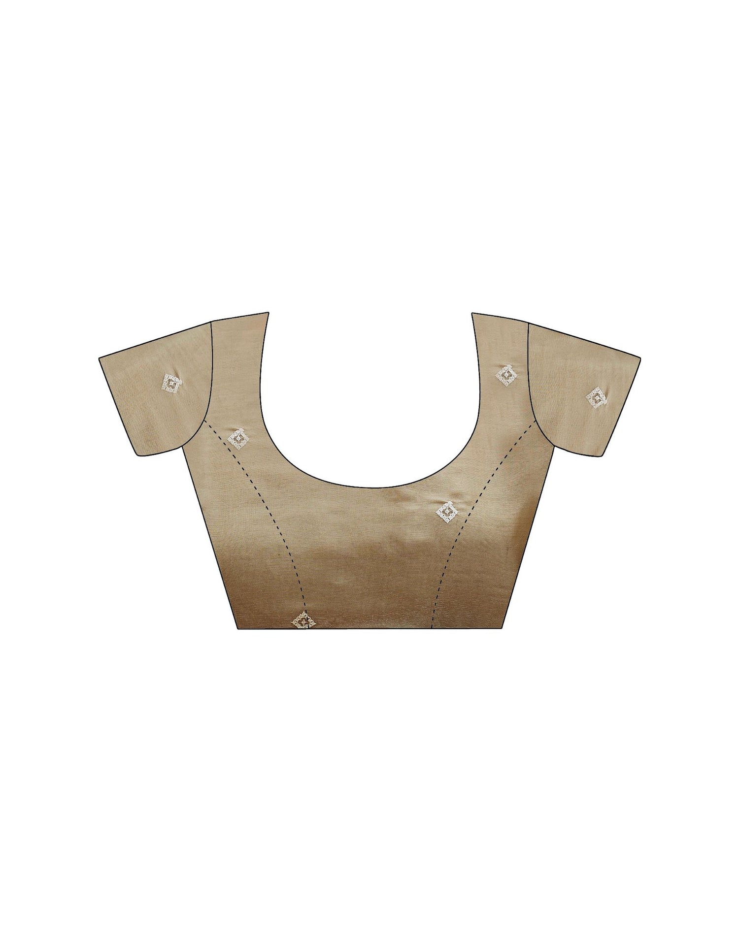 Beige Shimmer Sequence Embroidery Saree