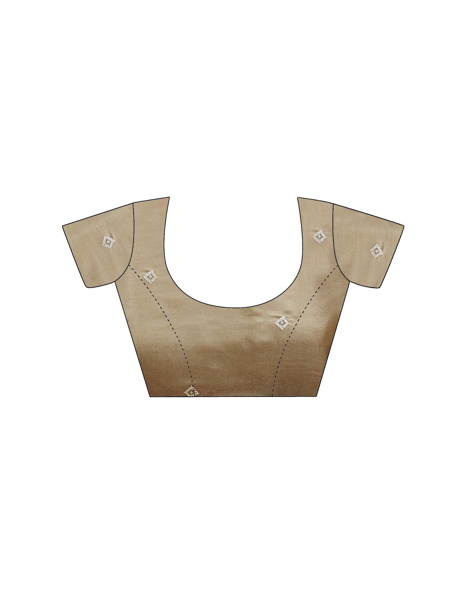 Beige Shimmer Sequence Embroidery Saree