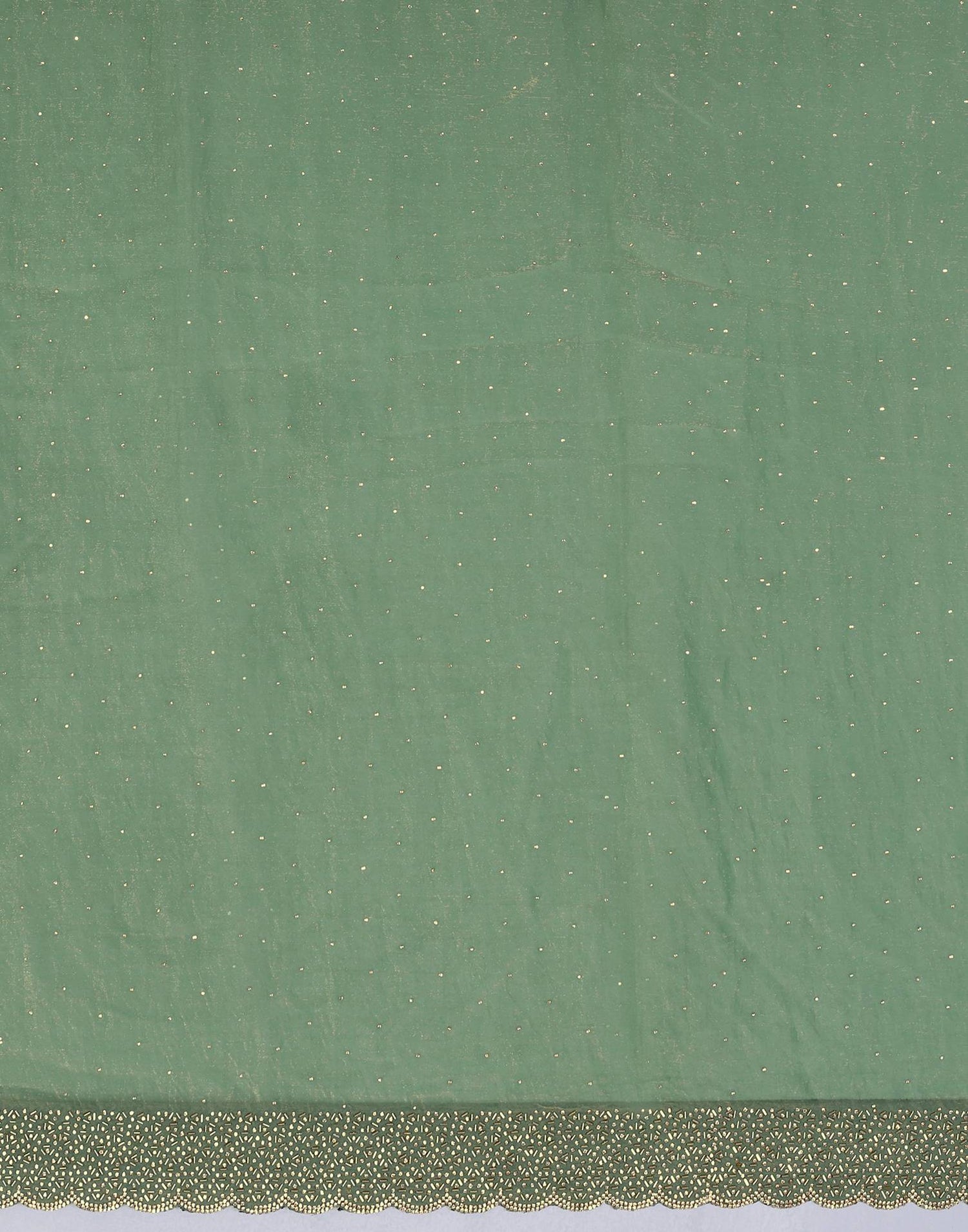 Pista Green Tissue Silk Stone Work Swarovski Saree