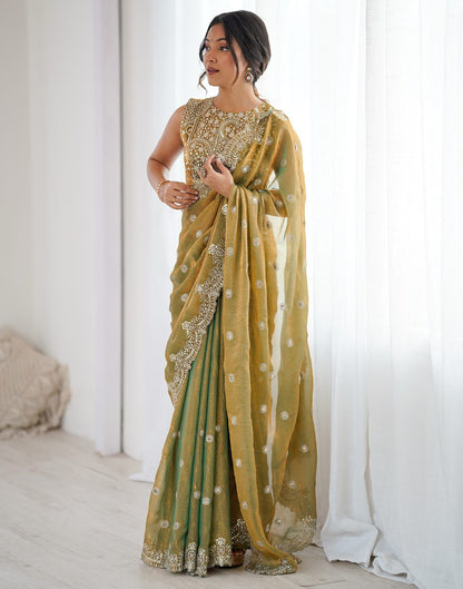 Khaki Shimmer Sequence Embroidery  Saree