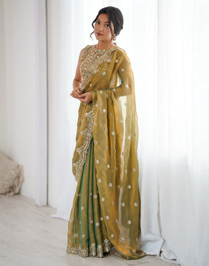 Khaki Shimmer Sequence Embroidery  Saree