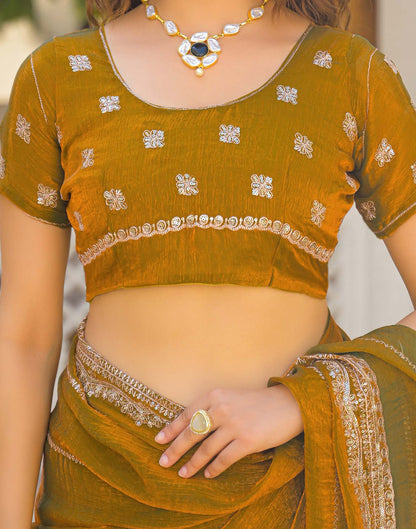 Brown Shimmer Sequence Embroidery Saree