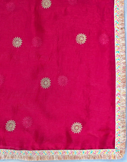 Rani Pink Shimmer Sequence Embroidery Saree
