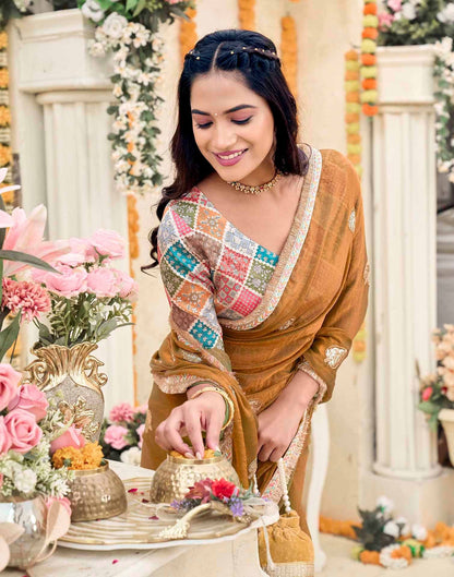 Khaki Shimmer Sequence Embroidery Saree