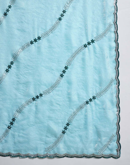 Sky Blue Shimmer Tissue Sequence Embroidery saree