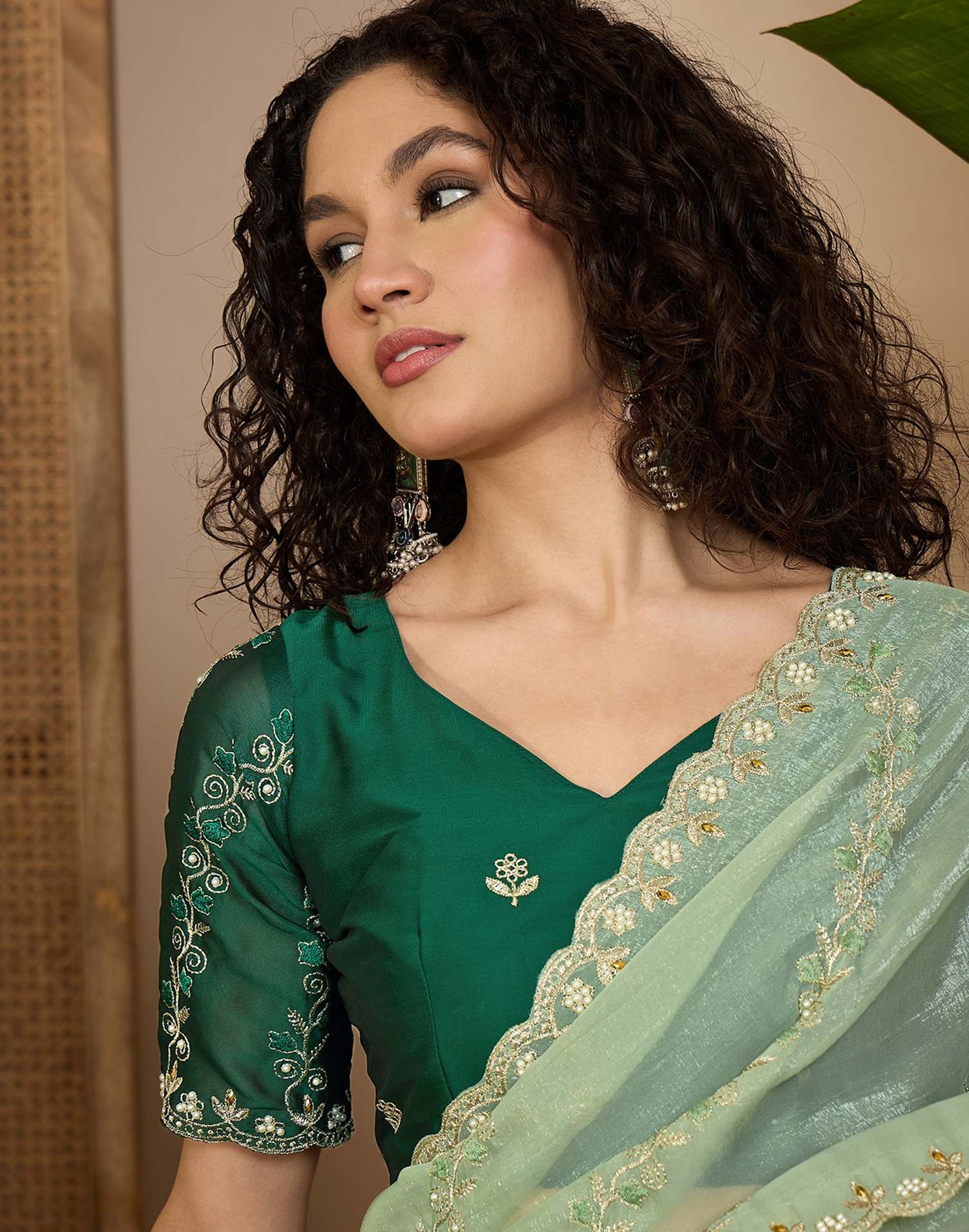 Pista Green Shimmer Chiffon Sequence Embroidery saree