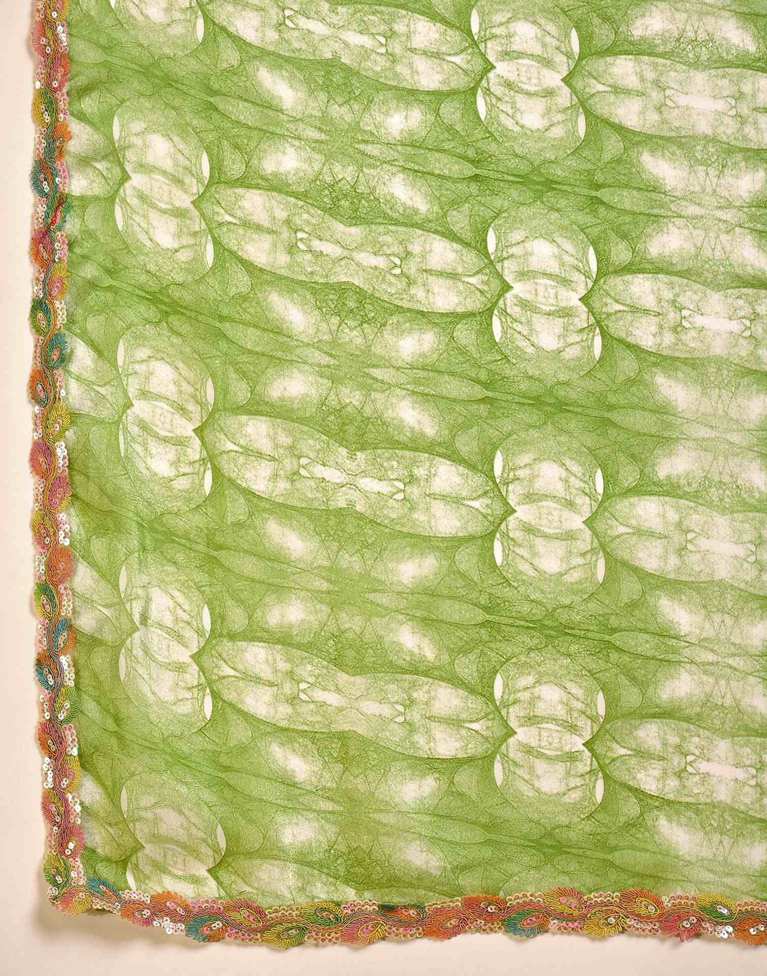 Green Shimmer Tissue Printed Lace saree