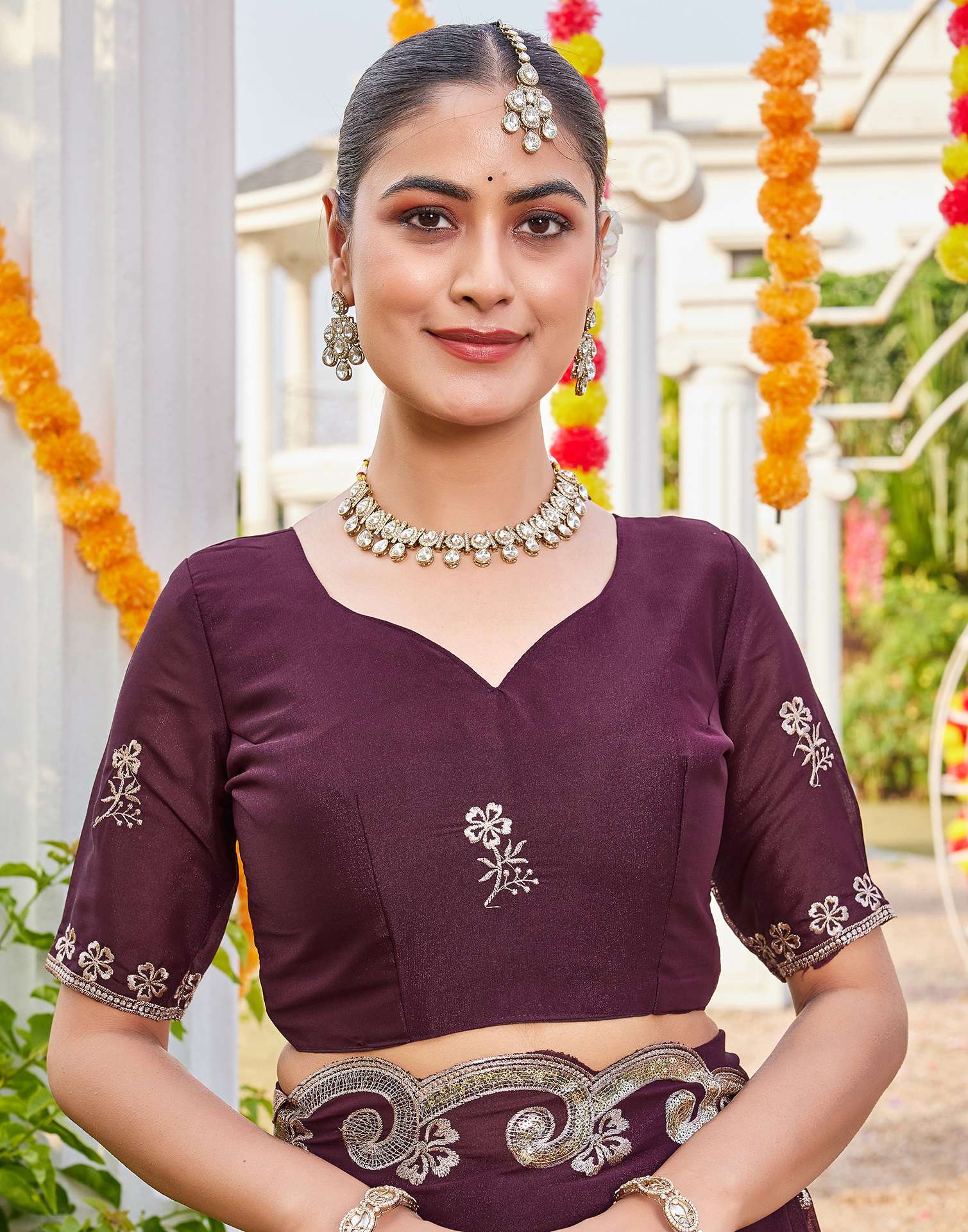 Dark Brown Shimmer Sequence Embroidery Saree