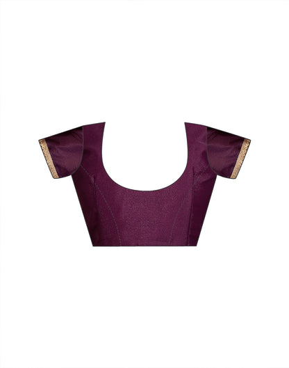 Wine Shimmer Lace Saree