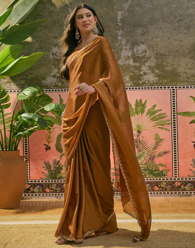 Brown Silk Embroidery Saree