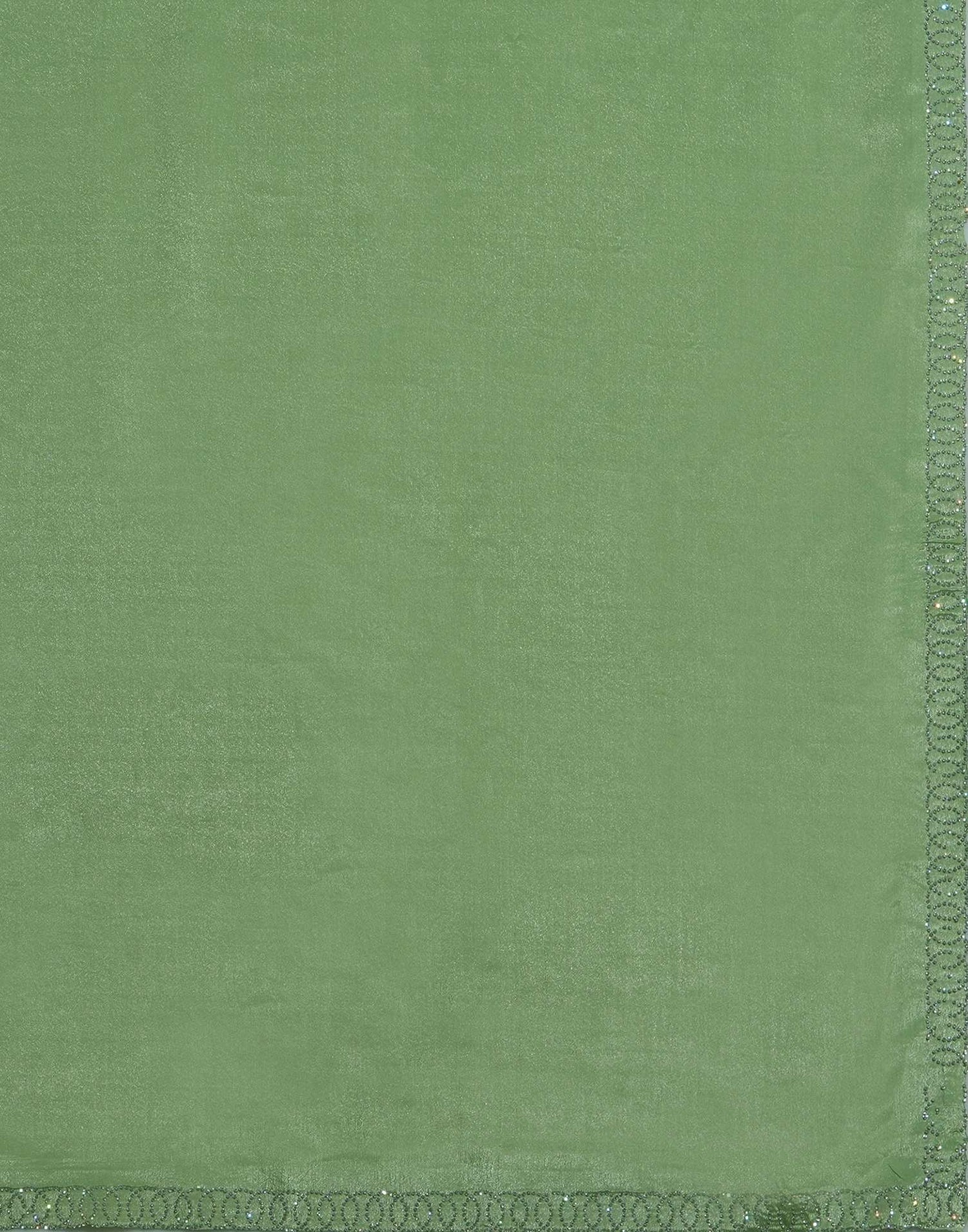 Pista Green Chiffon Stone Work Embellished Saree