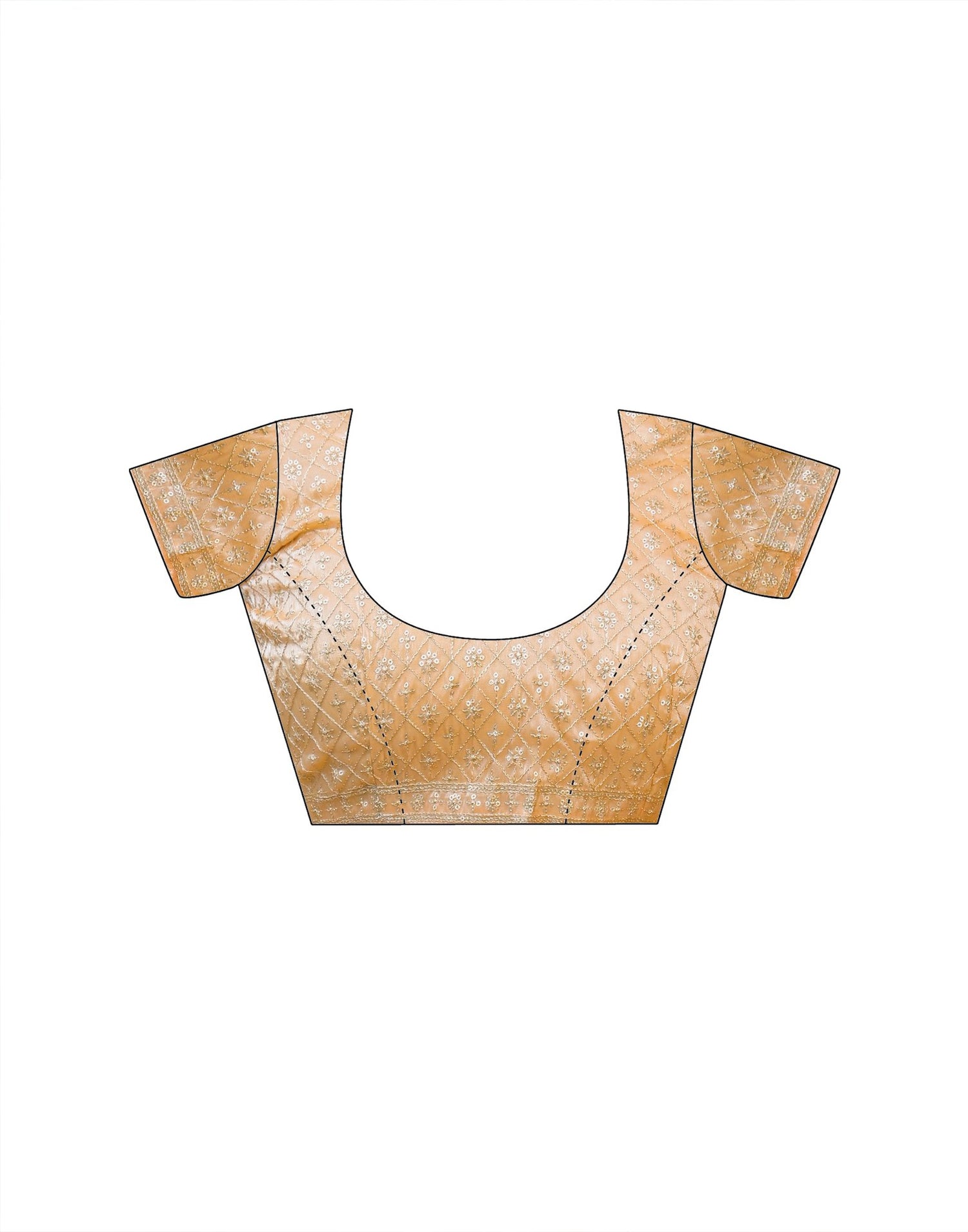 Dusty Peach Shimmer Tissue Sequence Embroidery Saree