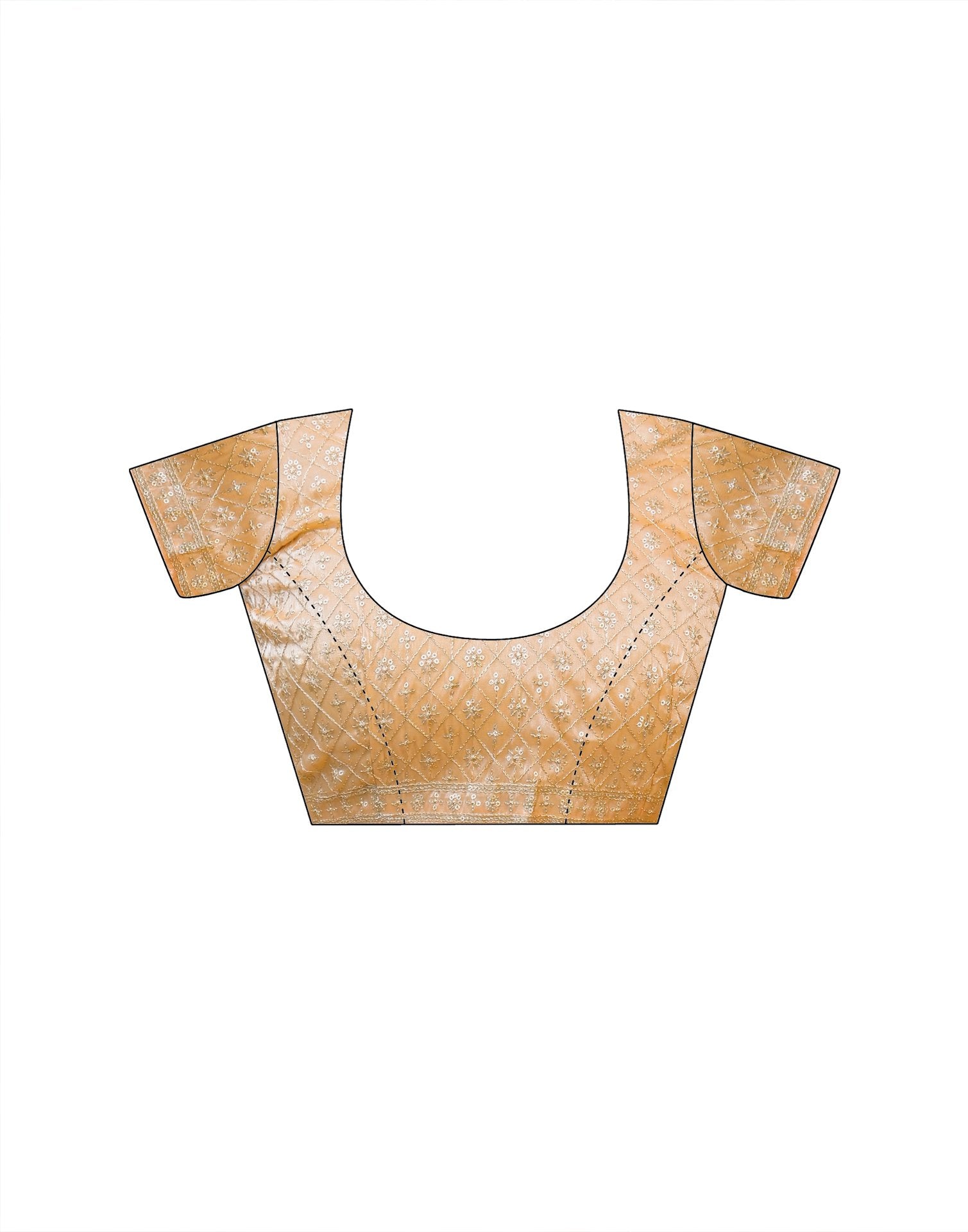 Dusty Peach Shimmer Tissue Sequence Embroidery Saree