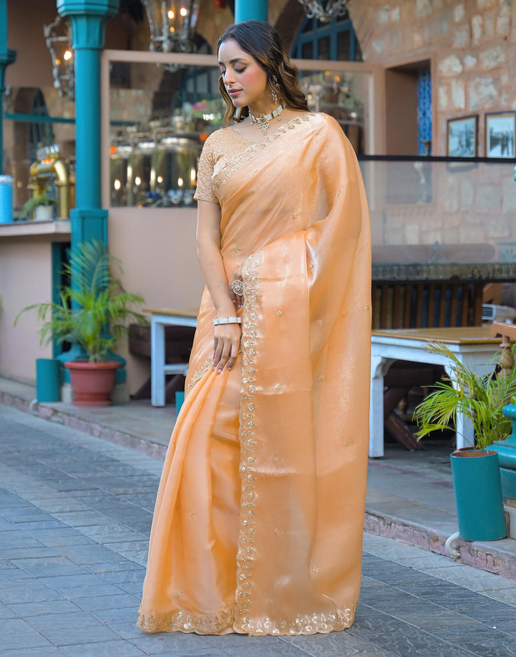Dusty Peach Shimmer Tissue Sequence Embroidery Saree