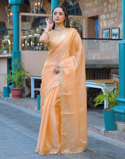 Dusty Peach Shimmer Tissue Sequence Embroidery Saree