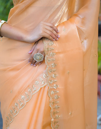 Dusty Peach Shimmer Tissue Sequence Embroidery Saree