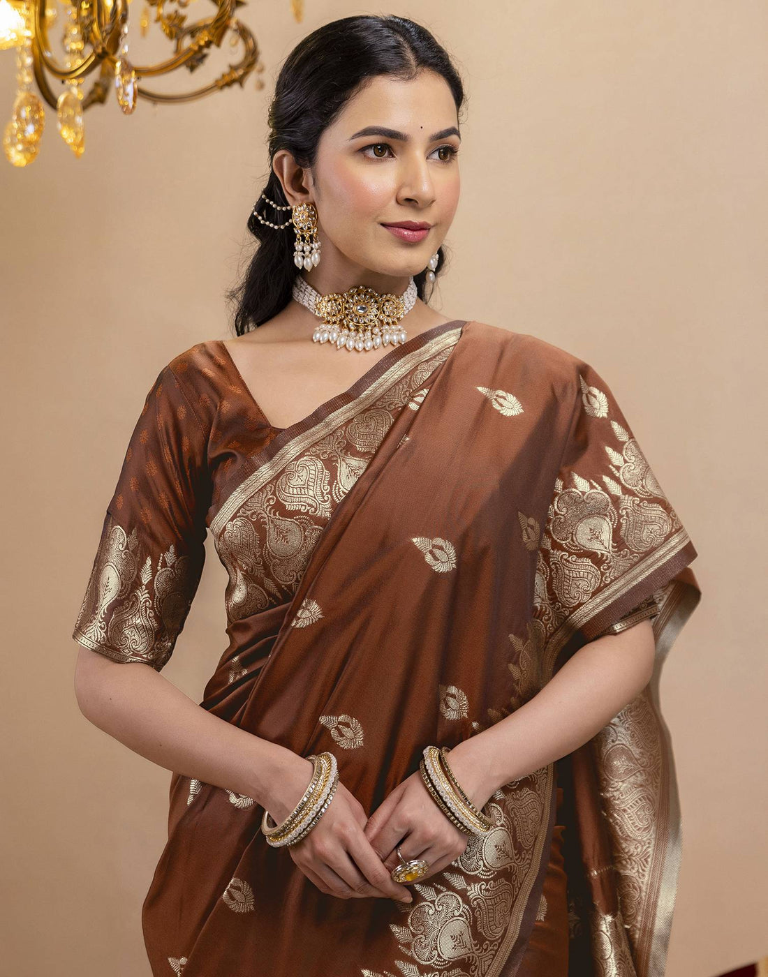 Brown Silk Woven Banarasi Saree